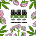 100% Minyak Esensial Natural Valerian Murni